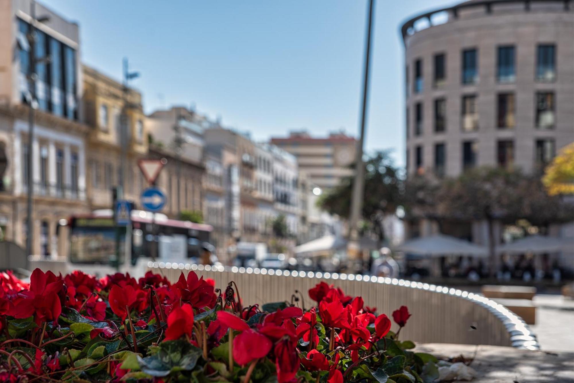 Apartment Catedral Almeria